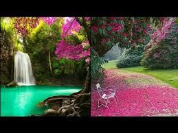 We would like to show you a description here but the site won't allow us. 2020 Beautiful Picture Of Nature Nature Dp For Whatsapp Nature Pictures Nature Images Youtube