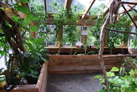 While building a hoop house is a pretty standard procedure, this diy pvc greenhouse is a great addition to any large garden. Greenhouse Made From Left Over Building Materials Home Greenhouse Greenhouse Plans Greenhouse Interiors