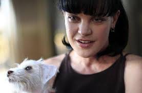 Check spelling or type a new query. Die Schauspielerin Pauleyp Die Bei Ncis Abby Sciuto Spielt Ist Angegriffen Worden Stuttgarter Zeitung Scoopnest