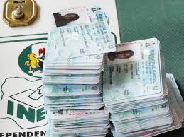 Image result for inec
