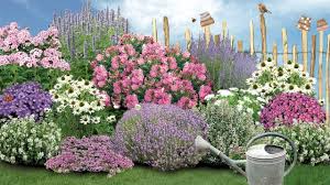 Einen naturnahen garten pflegeleicht anlegen: Naturnaher Garten Pflegeleicht Anlegen Einzigartig Blaue Welle Garten Anlegen