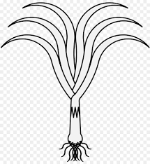 Sketsa kupu kupu yang indah sekali kupu easy butterfly sumber : Black And White Flower Png Download 1235 1336 Free Transparent Coloring Book Png Download Cleanpng Kisspng