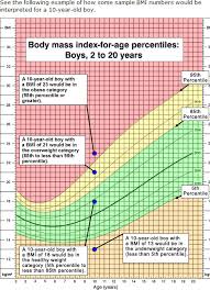 12 03 03 Understanding The Effects Of Diet And Fitness On