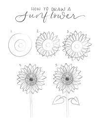 Pin On Sunflower