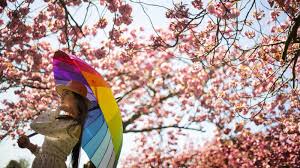 Dates of spring bank holiday: Uk Weather We Could See The Hottest Day Of The Year So Far This Bank Holiday Weekend Uk News Sky News