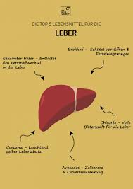Geschädigte zellen können sich regenerieren, wenn die ursachen der zellschädigung beseitigt worden sind. Die Top 5 Lebensmittel Fur Eine Gesunde Leber Expertentipps Von Sabine Wacker