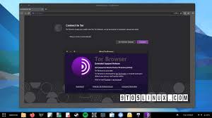 Using tor would be easy if you choose the. Tor Browser 10 5 Adds Wayland Support Further Improves The Ux For Censored Users 9to5linux