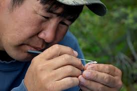 Anne Readel (@nature.brain) • Instagram photos and videos