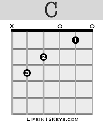 They are all downloadable for free in printable pdf. 20 Essential Guitar Chords For Beginners Life In 12 Keys