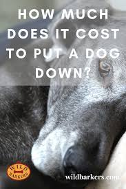 Check spelling or type a new query. How Much Does It Cost To Put A Dog Down Putting Dog To Sleep Dogs Your Dog