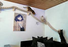 Idees Pour Fabriquer Un Arbre A Chat Maison Des Hommes Et Des Chats Arbres A Chat Maison Fabriquer Arbre A Chat Jeux Pour Chat