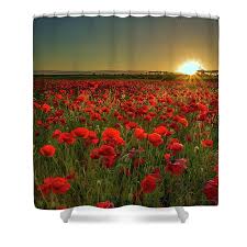 Sunset At Poppy Field Tote Bag by Danny Birrell Photography