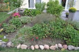 Klee (trifolium) ist eine pflanzengattung aus der familie der hülsenfrüchtler, die 245 arten umfasst. Entdeckung Bei Der Gartenarbeit Langste Klee Pflanze Der Welt Hausbau Blog