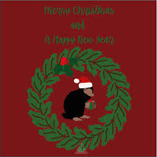 Niffler Christmas Card Newt Fantastic Beasts Fantastic Beasts Harry Potter Funny