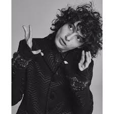 The young and talented actor is making his name in the showbiz industry at a very rapid rate and has accumulated a lot of name and fame after being starred in. Finn Wolfhard Biography Age Family Girlfriend More Hoodoo Child