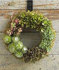 I made you a fun tutorial showing 6 different ways to color and stylize a cactus! Make A Cactus Wreath For Adam He Loves Them And It S Easy No Significant Watering Required Succulent Wreath Living Wreath Succulents