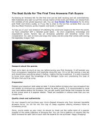 The arowana has a bony head and a long, powerful body. Buy Platinium Silver Arowana By Buysuperredarowana Issuu