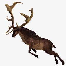 Wild Deer Attack Animal Forest Deer Png Transparent Clipart Image And Psd File For Free Download Wild Deer Deer Animals