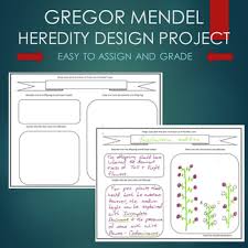 Gregor Mendel Genetics Pea Plant Design Project Based