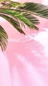 Stunning iphone wallpapers for iphone 11 and iphone 11 pro. Pastel Iphone 11 Iphone 11 Pro Iphone 11 Pro Max Wallpapers Iphone 11 Pro Max 736x1308 Wallpaper Teahub Io
