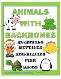This chapter outlines characteristics of animals with backbones. 10 Animals With Backbones Ideas