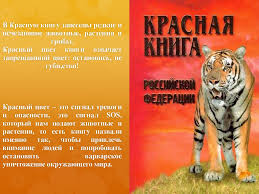 проект по окружающему миру красная книга или возьмем под защиту Proekt Krasnaya Kniga Ili Vozmyom Pod Zashitu Online Presentation
