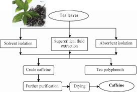 process for the isolation of caffeine from green tea color