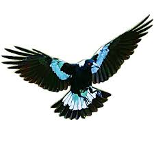Oct 13, 2020 · why bother making homemade shake and bake mix? Magpie Film Designs Gifts N Crystals