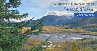 Just head outdoors between the hours of 10 p.m. Incredible Things To Do In Seward Alaska In September Outdoor Adventure Travel Guides Tips This Big Wild World