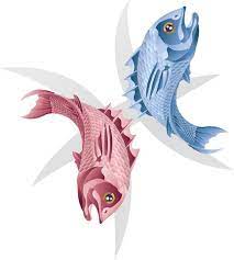 The 12 Signs Of The Zodiac Pisces Horoscope Pisces Pisces Star Signs