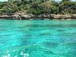 Image result for 沖縄の海