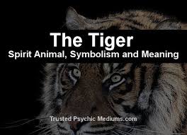 The Tiger Spirit Animal A Complete Guide To Meaning And Symbolism Tiger Spirit Animal Spirit Animal Animal Spirit Guides