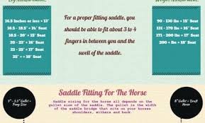 Saddle Sizing Checking The Fit Bicycle Guide Withyou