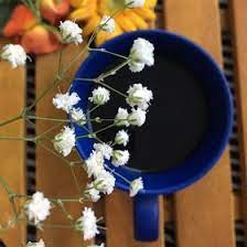 Bushra Essam Bush19944 - Profile Pinterest