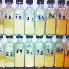 However, the efficacy of camel milk in this regard needs further research (3). Pdf Heat Stability Of Camel Milk Proteins After Sterilisation Process