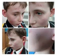 Who put that glass wall there 🙈🙉 Templar Bullies CHANEL and CAESAR having  a bit of an issue catching the water today 😂 How are your bullies staying  cool in this heat ?