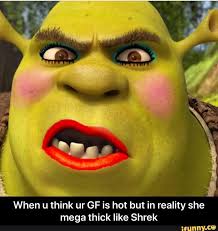 When U Think Ur Gf Is Hot But In Reality She Mega Thick Like Shrek When