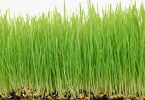 See more of baker pest control, inc. Baker Pest Control