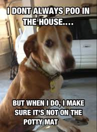 Copper Memes How To Make Potty