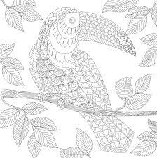 Search through 52634 colorings, dot to dots, tutorials and silhouettes. Amazon Com Tropical Paradise Adult Coloring Book 31 Stress Relieving Designs Studio 9781441322883 Peter Pauper Press Books