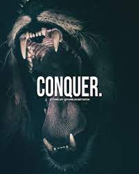 Conquer Motivation Quotes Quoteoftheday King Lion Animal Motivational Quotes For Men Alpha Male Quotes Motivational Quotes