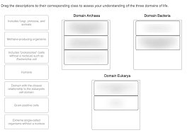 Chapter 1 Wrap Up Diagram Quizlet