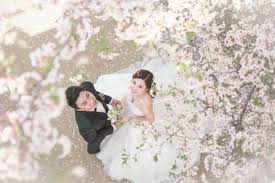 Mix and match the photography studios, gown boutiques and hair and makeup salons to your preferences and budget. 10 Most Popular Pre Wedding Spots In South Korea Bridestory Blog