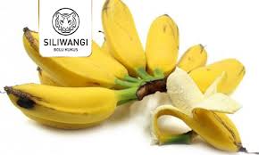 Bolu pisang kukus, resep bolu pisang kukus anti gagal 9 Pisang Paling Populer Di Indonesia Siliwangi Bolu Kukus