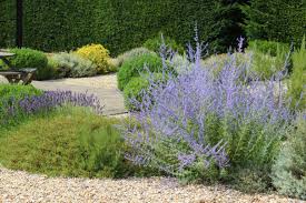 Find landscaping and garden ideas, including photo of a rural full sun garden in other with a vegetable patch and gravel. How To Create Maintain A Gravel Garden