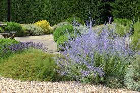 Pathway stones (limestone gravel, 1/4″ to 1/2″) are used as ground cover to create movement. How To Create Maintain A Gravel Garden
