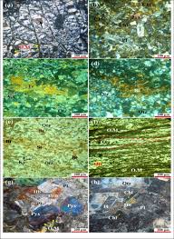 Image result for Beige 1987 UMM