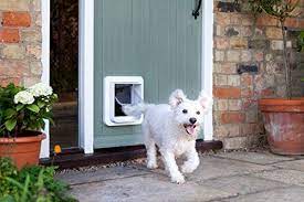 sureflap microchip pet door white best petsep com dog door cat door pet doors