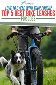 12 Best Dog Bike Leashes Hands Free Biking With Dog Dog Bike Leash Dogs