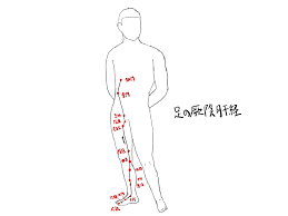 足の厥陰肝経（LV）の役割・経穴・関連ヨガポーズ｜フレアプラス 東京のヨガスタジオ